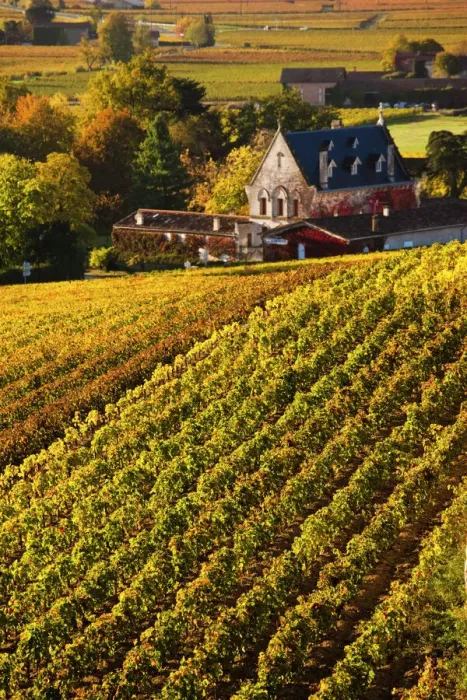 Framed Print : France, Aquitaine Region, Gironde Department, St-Emilion, wine town, UNESCO-listed Framed Print : France, Aquitaine Region, Gironde Department, St-Emilion, wine town, UNESCO-listed