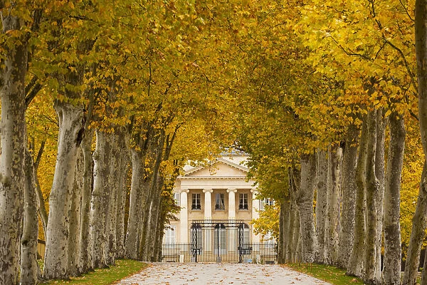 France, Aquitaine Region, Gironde Department, Haute-Medoc Area, Margaux, Chateaux