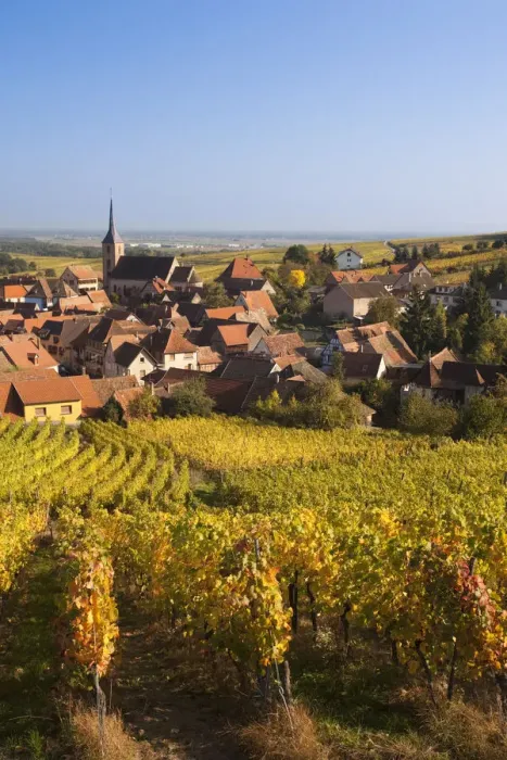 Framed Print : France, Bas-Rhin, Alsace Region, Alasatian Wine Route, Blienschwiller, town overview Framed Print : France, Bas-Rhin, Alsace Region, Alasatian Wine Route, Blienschwiller, town overview