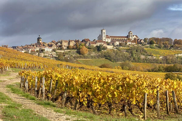 France, Bourgogne-Franche-Comta©, Burgundy, Yonne, Vezelay surrounded by vines in