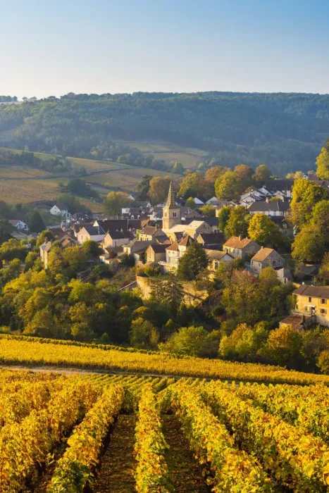 Framed Print : France, Bourgogne-Franche-Comte, Burgundy, Cote-d Or, Pernand-Vergelesses Framed Print : France, Bourgogne-Franche-Comte, Burgundy, Cote-d Or, Pernand-Vergelesses
