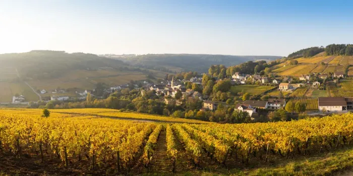 Framed Print : France, Bourgogne-Franche-Comte, Burgundy, Cote-d Or, Pernand-Vergelesses Framed Print : France, Bourgogne-Franche-Comte, Burgundy, Cote-d Or, Pernand-Vergelesses