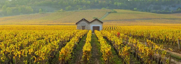 Framed Print : France, Bourgogne-Franche-Comte, Burgundy, Cote-d Or, Cote de Beaune