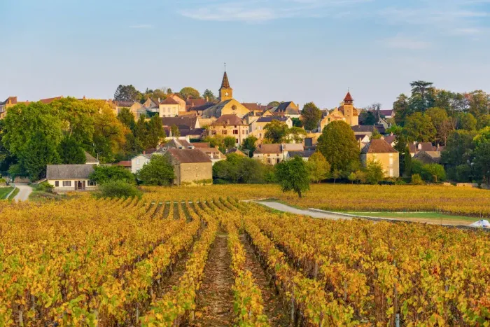 Framed Print : France, Bourgogne-Franche-Comte, Burgundy, Cote-d Or, Monthelie Framed Print : France, Bourgogne-Franche-Comte, Burgundy, Cote-d Or, Monthelie