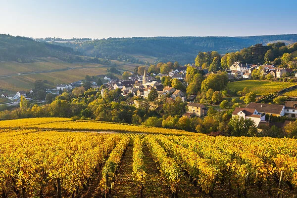 France, Bourgogne-Franche-Comte, Burgundy, Cote-d Or, Pernand-Vergelesses