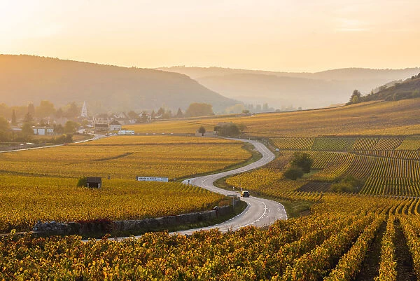 France, Bourgogne-Franche-Comte, Burgundy, Cote-d Or, Cote de Beaune vineyards