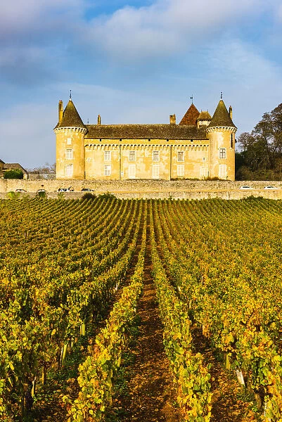 France, Bourgogne-Franche-Comte, Burgundy, Saone-et-Loire, Rully. Chateau de Rully