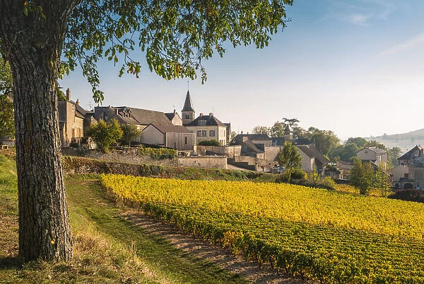 France, Bourgogne-Franche-Comte, Burgundy, Cote-d Or, Monthelie