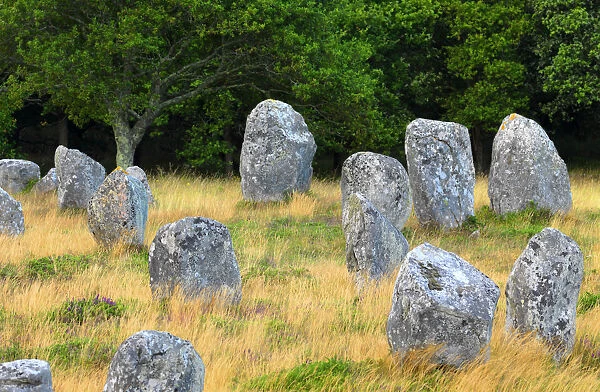 France, Brittany, Morbihan, Carnac, megalithic menhir alignments of Menec