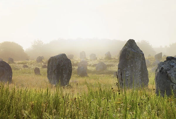 France, Brittany, Morbihan, Carnac, megalithic menhir alignments of Menec in fog