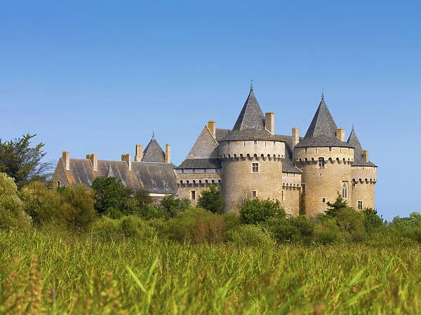 France, Brittany, Morbihan, Sarzeau, Chateau de Suscinio across field