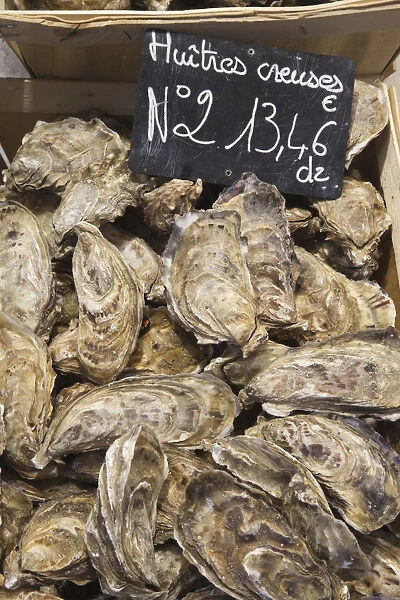 France, Brittany, Saint Malo, Oysters for Sale
