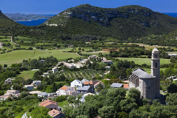 France, Corsica, Haute-Corse Department, Le Cap Corse, Patrimonio, elevated view of