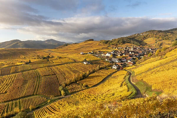 France, Grande Est, Alsace, Haut-Rhin, Ammerschwihr village and vineyards in the autumn