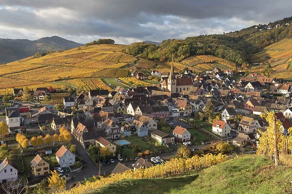 France, Grande Est, Alsace, Haut-Rhin, Ammerschwihr village and vineyards in the autumn