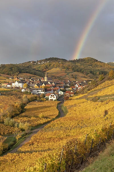 France, Grande Est, Alsace, Haut-Rhin, Ammerschwihr village