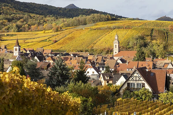 France, Grande Est, Alsace, Haut-Rhin, Riquewihr and vineyards in the autumn
