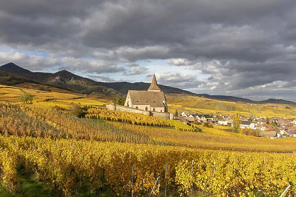 France, Grande Est, Alsace, Haut-Rhin, Hunawihr, Saint-Jacques-le-Majeur church
