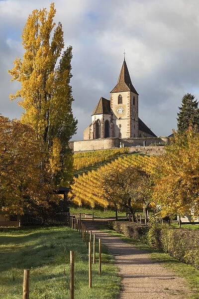 France, Grande Est, Alsace, Haut-Rhin, Hunawihr, Saint-Jacques-le-Majeur church