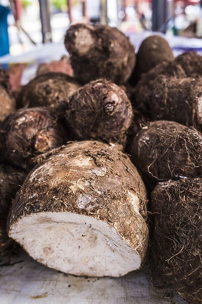 France, Guadeloupe, Pointe-a-Pitre, Yams at the dock market in Pointe-a-Pitre