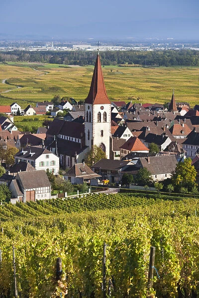 France, Haut-Rhin, Alsace Region, Alasatian Wine Route, Ammerschwihr, afternoon town view