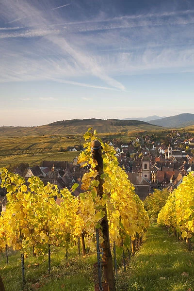France, Haut-Rhin, Alsace Region, Alasatian Wine Route, Riquewihr, town view, dawn