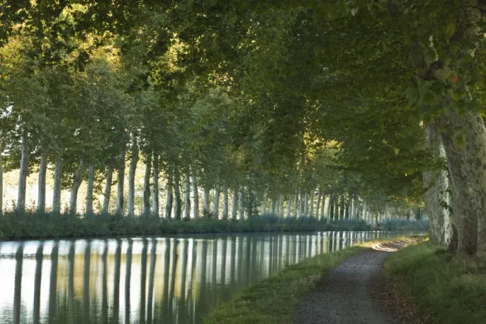 Framed Print : France, Languedoc-Rousillon, Canal du Midi. The Canal du Midi in Southern France connects the Garonne River to the Etang de Thau on Framed Print : France, Languedoc-Rousillon, Canal du Midi. The Canal du Midi in Southern France connects the Garonne River to the Etang de Thau on