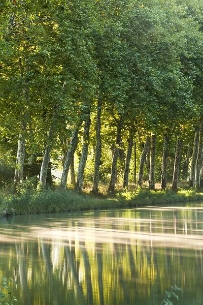 France, Languedoc-Rousillon, Canal du Midi. The Canal du Midi in Southern France connects the Garonne River to the Etang de Thau on