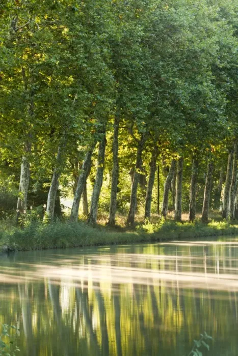 Framed Print : France, Languedoc-Rousillon, Canal du Midi. The Canal du Midi in Southern France connects the Garonne River to the Etang de Thau on Framed Print : France, Languedoc-Rousillon, Canal du Midi. The Canal du Midi in Southern France connects the Garonne River to the Etang de Thau on