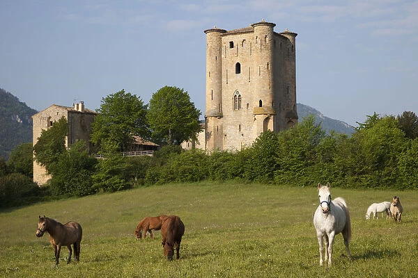 France, Languedoc-Roussillon, Aude, Arques, Arques Castle