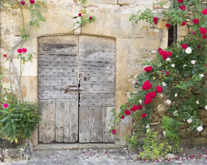 Framed Print : France, Lot, Carennac, An old wooden barn door surrounded by roses in the heart of Framed Print : France, Lot, Carennac, An old wooden barn door surrounded by roses in the heart of