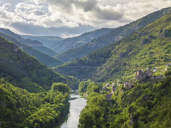 France, Lozere, Longuedoc-Roussillon, Gorges du Tarn, overview