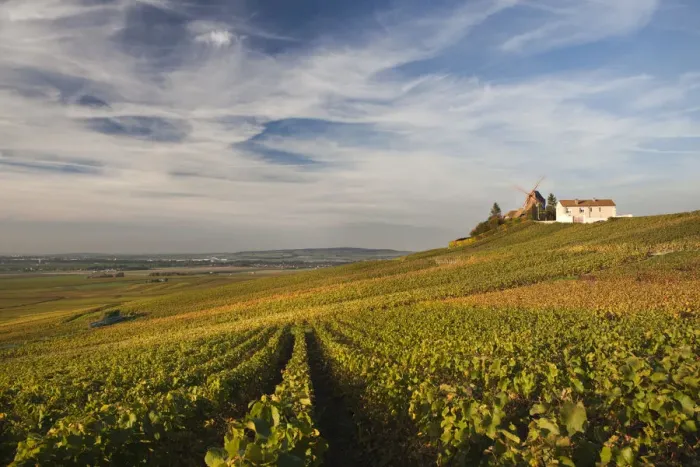 Framed Print : France, Marne, Champagne Ardenne, Verzenay, windmill and vineyards Framed Print : France, Marne, Champagne Ardenne, Verzenay, windmill and vineyards