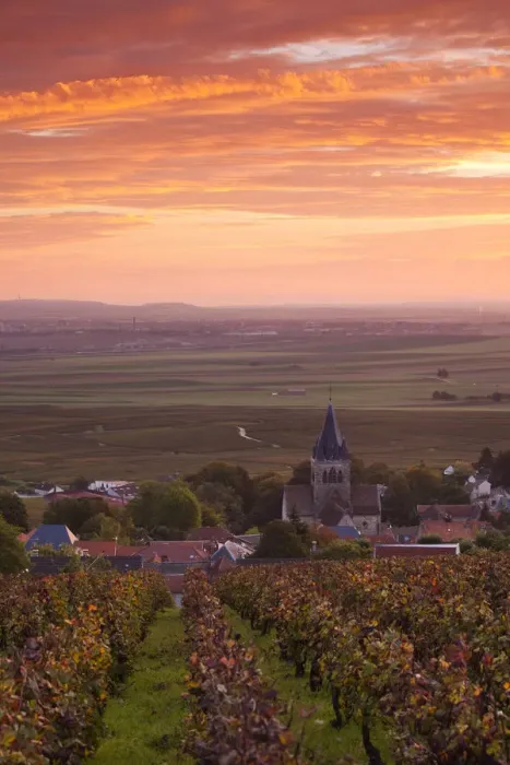 Framed Print : France, Marne, Champagne Ardenne, Ville Dommange, town overview, sunrise Framed Print : France, Marne, Champagne Ardenne, Ville Dommange, town overview, sunrise