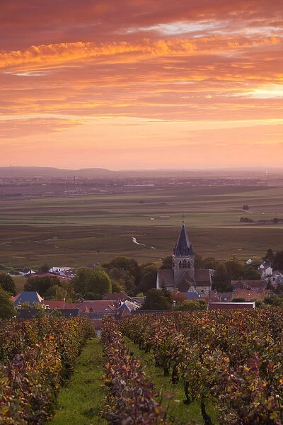 France, Marne, Champagne Ardenne, Ville Dommange, town overview, sunrise