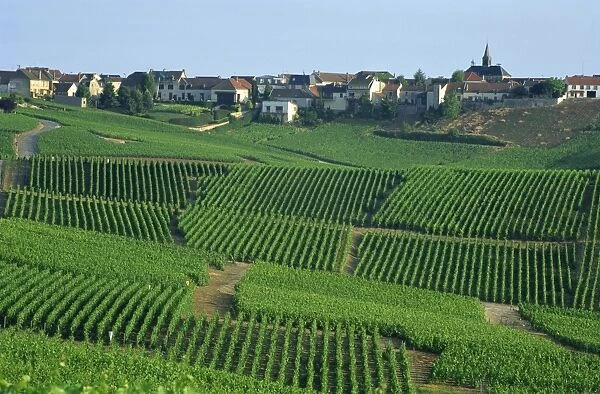 France, Marne, Champagne, Cramant Village and Vineyards
