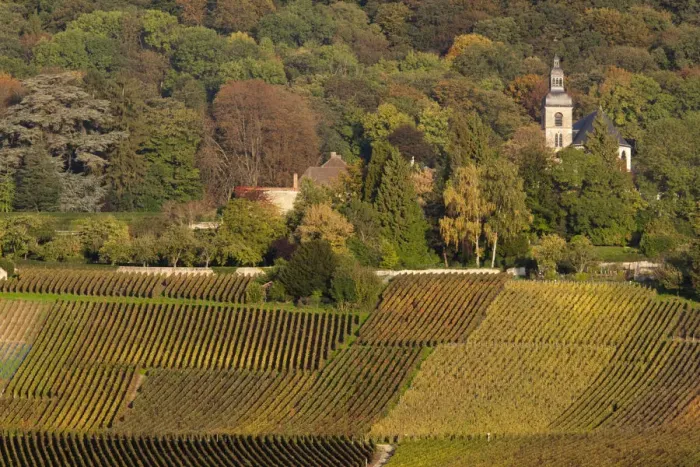 Framed Print : France, Marne, Champagne Region, Hautvillers, vineyard view Framed Print : France, Marne, Champagne Region, Hautvillers, vineyard view