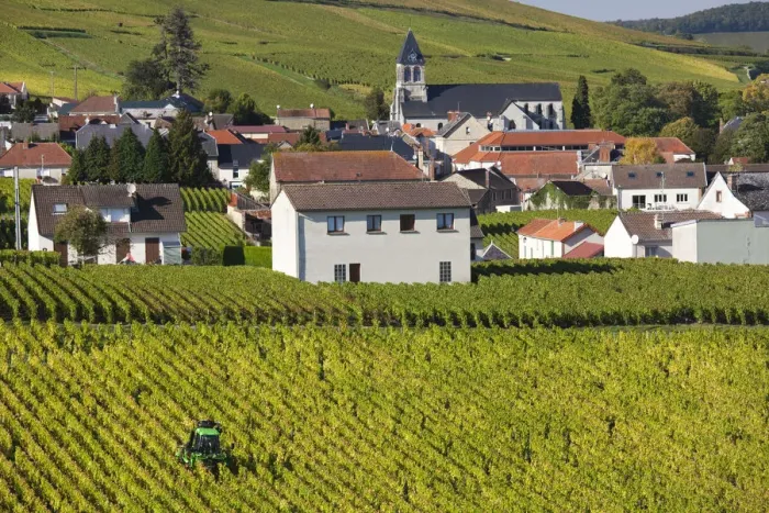Framed Print : France, Marne, Champagne Region, Oger, town and vineyards, autumn
