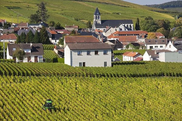 France, Marne, Champagne Region, Oger, town and vineyards, autumn