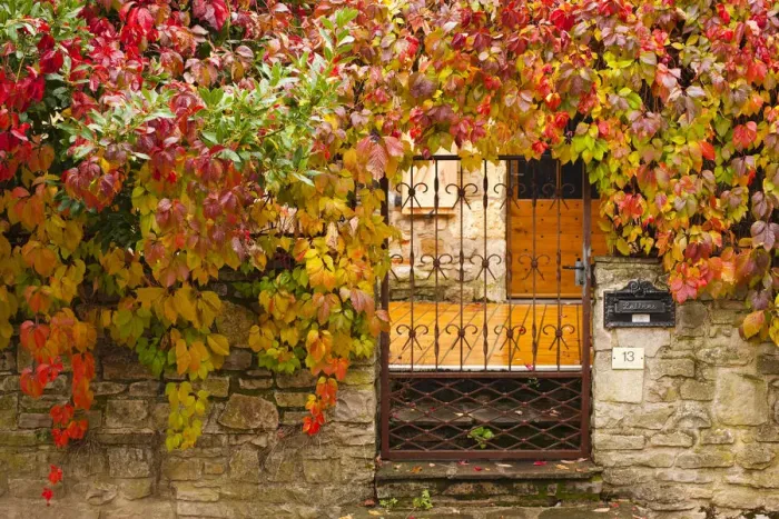 Framed Print : France, Midi-Pyrenees Region, Tarn Department, Cordes-sur-Ciel, gate with autumn foliage Framed Print : France, Midi-Pyrenees Region, Tarn Department, Cordes-sur-Ciel, gate with autumn foliage