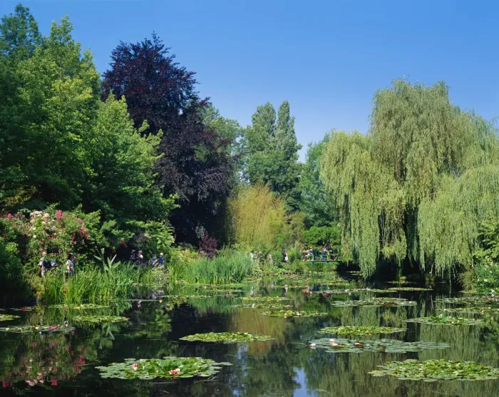 Framed Print : France, Normandy, Giverny, Monets Garden Framed Print : France, Normandy, Giverny, Monets Garden