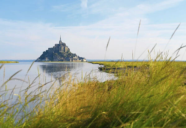 France, Normandy, Le Mont Saint Michel, grass in foreground