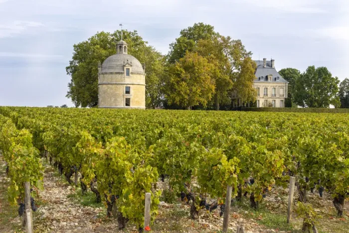 Framed Print : France, Nouvelle-Aquitaine, Gironde, Medoc, Chateau Latour and vineyard Framed Print : France, Nouvelle-Aquitaine, Gironde, Medoc, Chateau Latour and vineyard