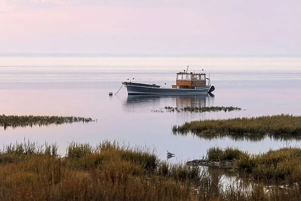 France, Nouvelle-Aquitaine, Gironde, Arcachon, a fishing boat moored on the marshland