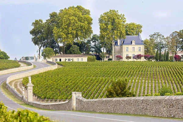 France, Nouvelle-Aquitaine, Gironde, Medoc, Chateau Pichon Longueville Comtesse de