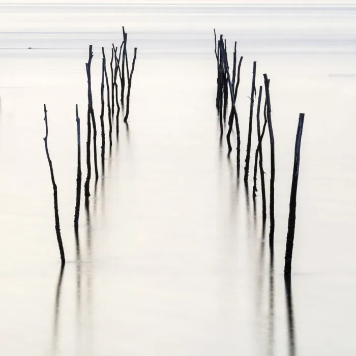 Framed Print : France, Nouvelle-Aquitane, Gironde, Lege-Cap-Ferret, oyster beds Framed Print : France, Nouvelle-Aquitane, Gironde, Lege-Cap-Ferret, oyster beds