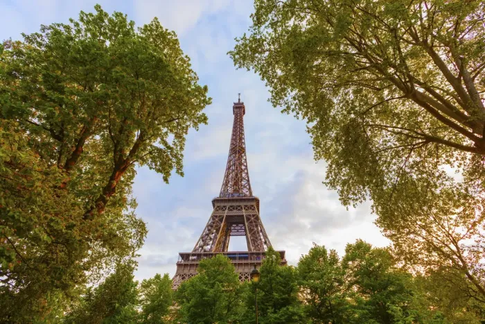 Framed Print : France, Paris, Eiffel Tower framed by trees Framed Print : France, Paris, Eiffel Tower framed by trees