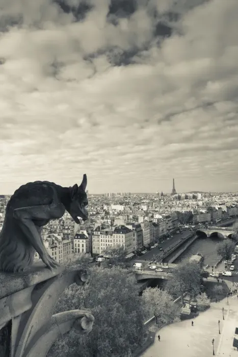 Framed Print : France, Paris, elevated city view from the Cathedrale Notre Dame cathedral with gargoyles Framed Print : France, Paris, elevated city view from the Cathedrale Notre Dame cathedral with gargoyles