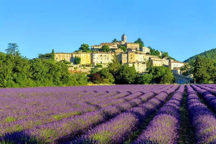 Framed Print : France, Provence-Alpes-Cote d Azur, Banon and lavender fields