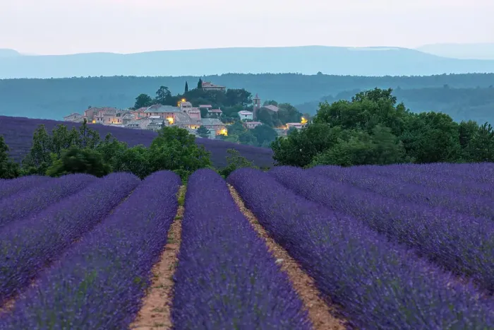 Framed Print : France, Provence-Alpes-Cote d'Azur, Entrevennes, the hilltop village of Entrevennes illuminated after sunset surrounded by lavender Framed Print : France, Provence-Alpes-Cote d'Azur, Entrevennes, the hilltop village of Entrevennes illuminated after sunset surrounded by lavender